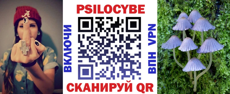 omg ТОР  Кирс  Псилоцибиновые грибы Cubensis  купить наркоту 